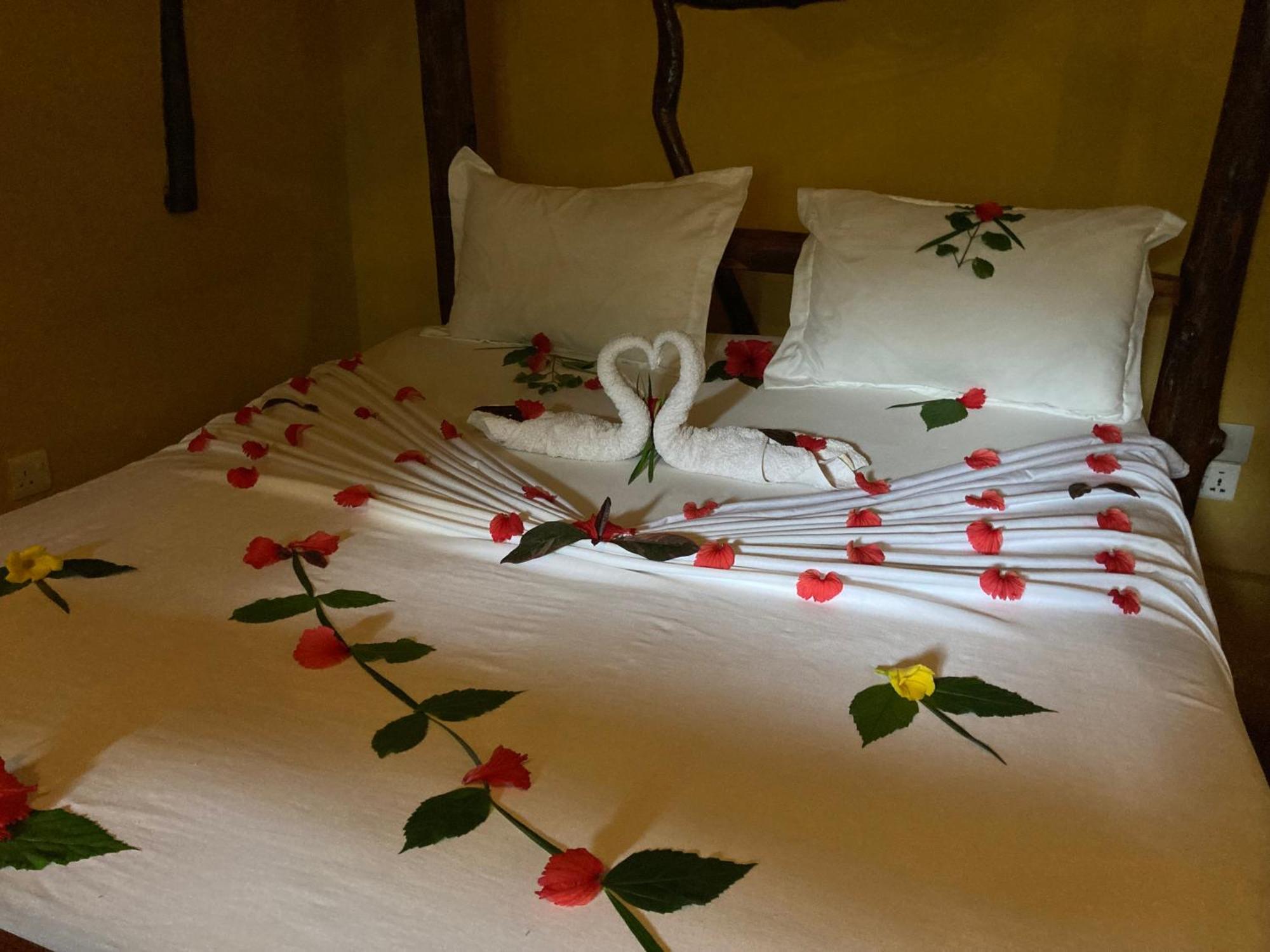 Pasa Lodge Zanzibar Nungwi Bilik gambar