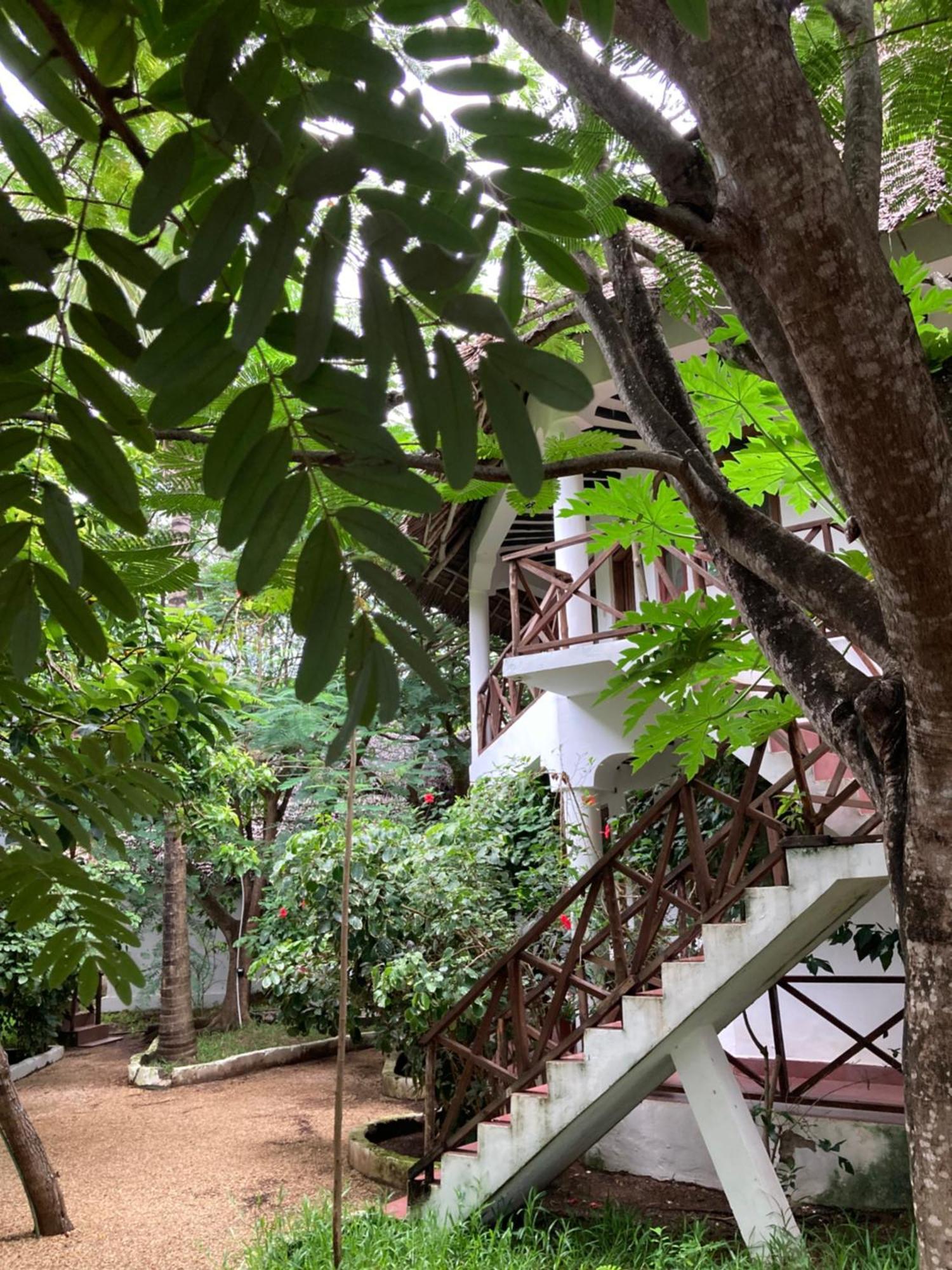 Pasa Lodge Zanzibar Nungwi Luaran gambar